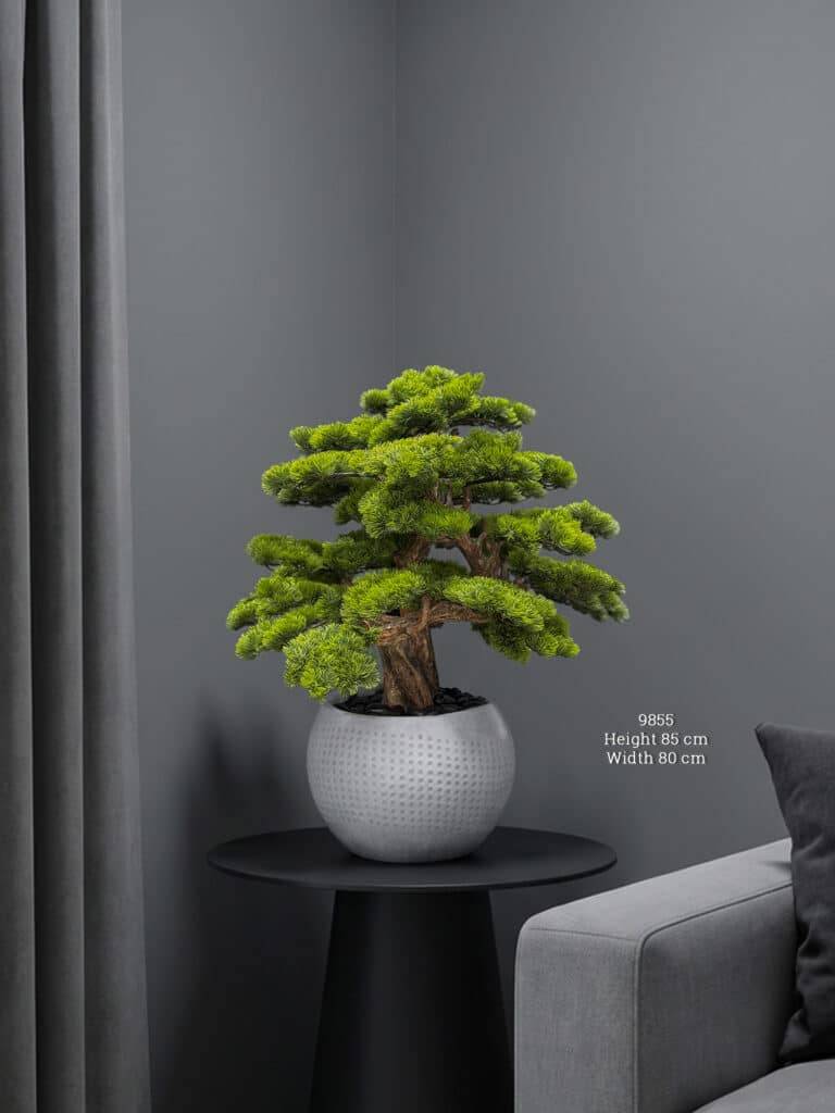 Artificial Pine Bonsai 85cm | White Textured Pot Tree