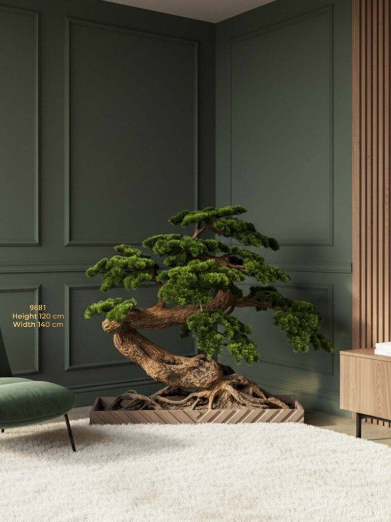 gallery bonsai tree