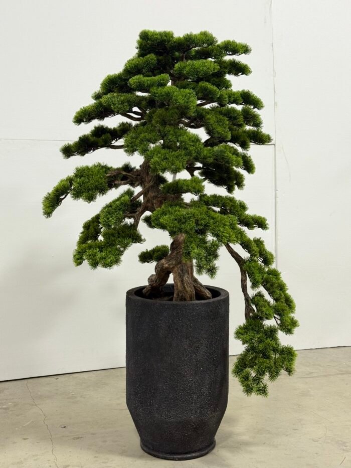 Artificial Bonsai Tree 160cm – Large Pine with Black Planter – 9882