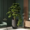 9882 Artificial Bonsai Tree 160cm