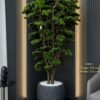9883 Luxury Fake Bonsai Tree 195cm | Designer Floor Standing