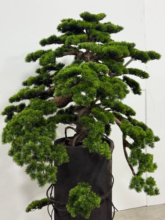 Artificial Bonsai Tree 185cm – Pine with Tall Black Planter – 9884