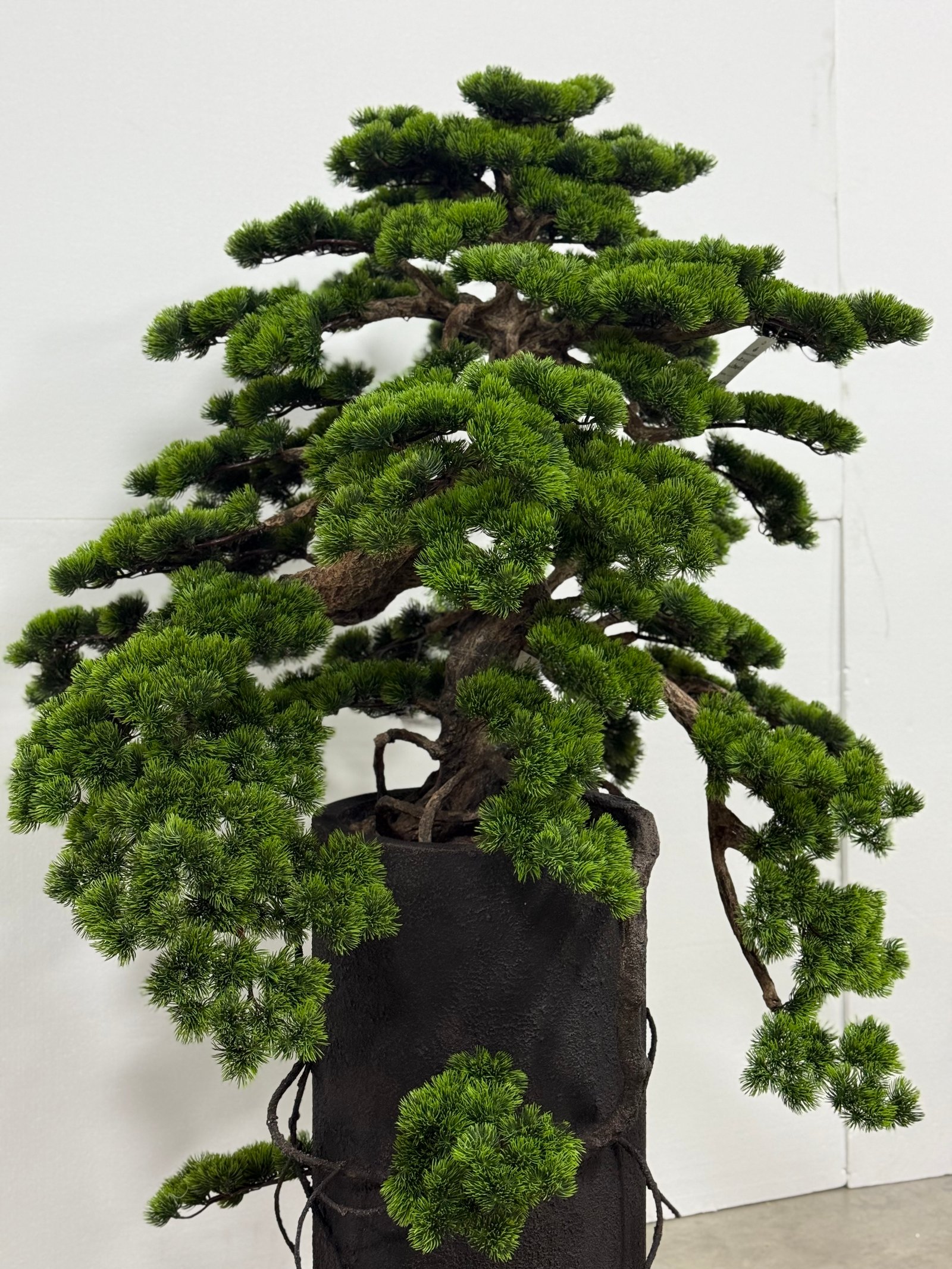 Fake Bonsai Tree 185cm | Contemporary Black Vase Style