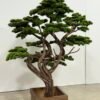 9885-1 Fake Bonsai Tree 175cm