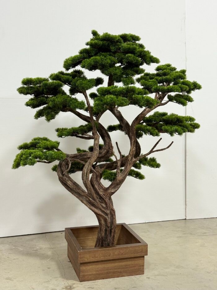 Artificial Bonsai Tree 175cm – Multi-Trunk Pine with Wood Box –  9885