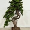 9886-1 Large Artificial Bonsai