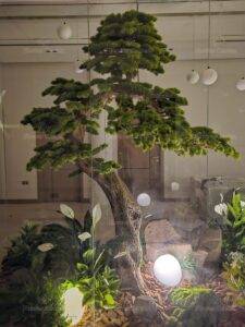 artificial plants for restaurant Dubai