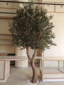 artificial plants for restaurant Dubai