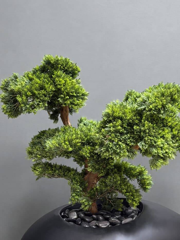 Artificial Bonsai Tree 100cm – Pine with Black Planter – 9958-7