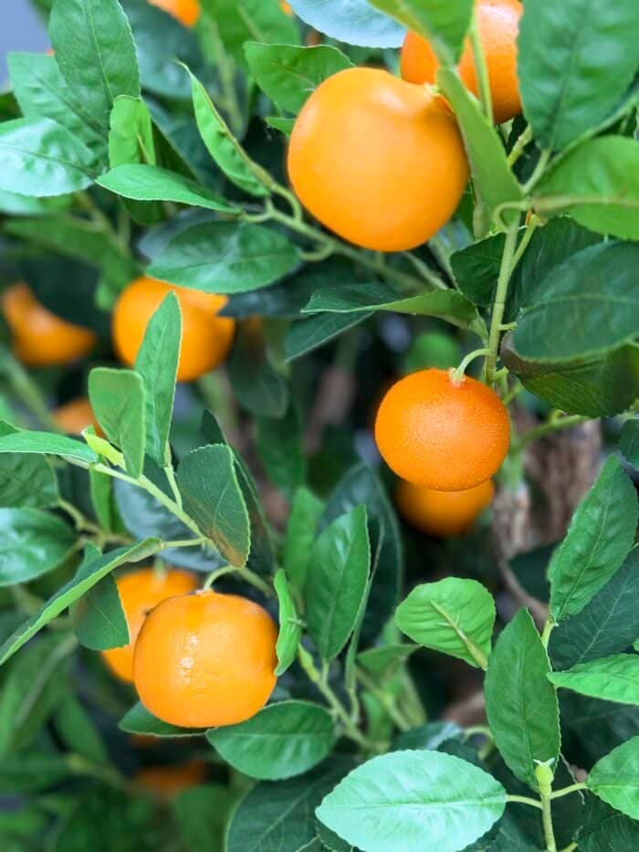 Artificial Orang Tree 145cm – Large Decorative Citrus Tree 9314
