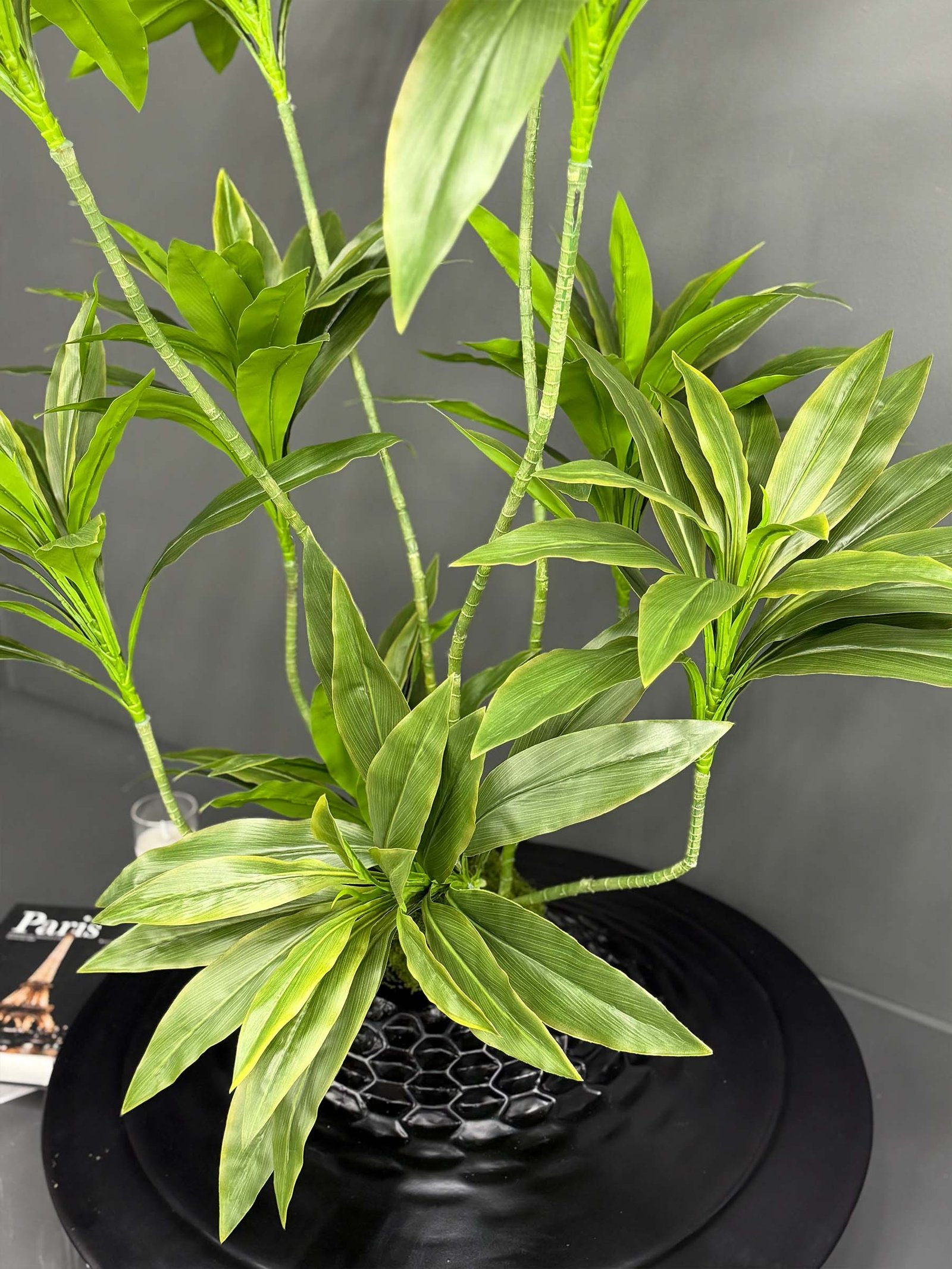Artificial Dracaena on Honeycomb Vessel