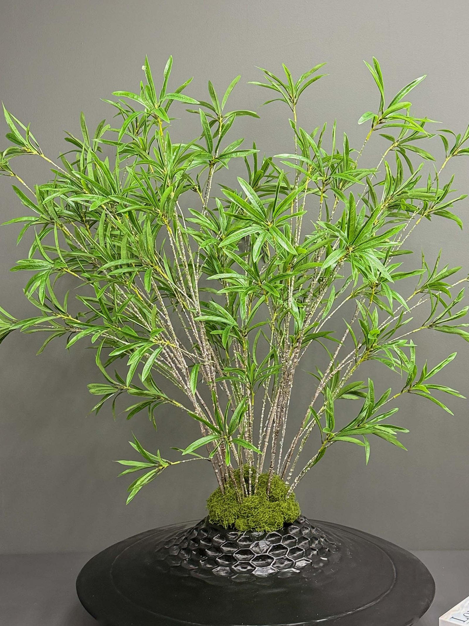 Artificial Willow Leaf Tree on Honeycomb Vessel