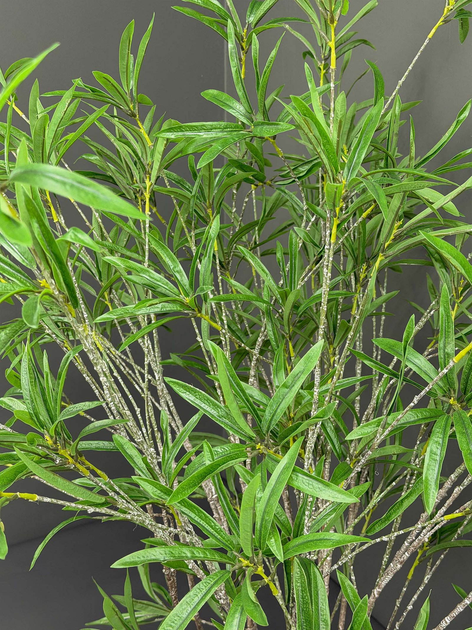 Artificial Willow Leaf Tree on Honeycomb Vessel