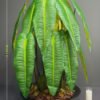 vx-9991 Artificial Anthurium Veitchii on Honeycomb Vessel