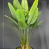 vx-9993 Artificial Banana Leaf Plant on Honeycomb Vessel