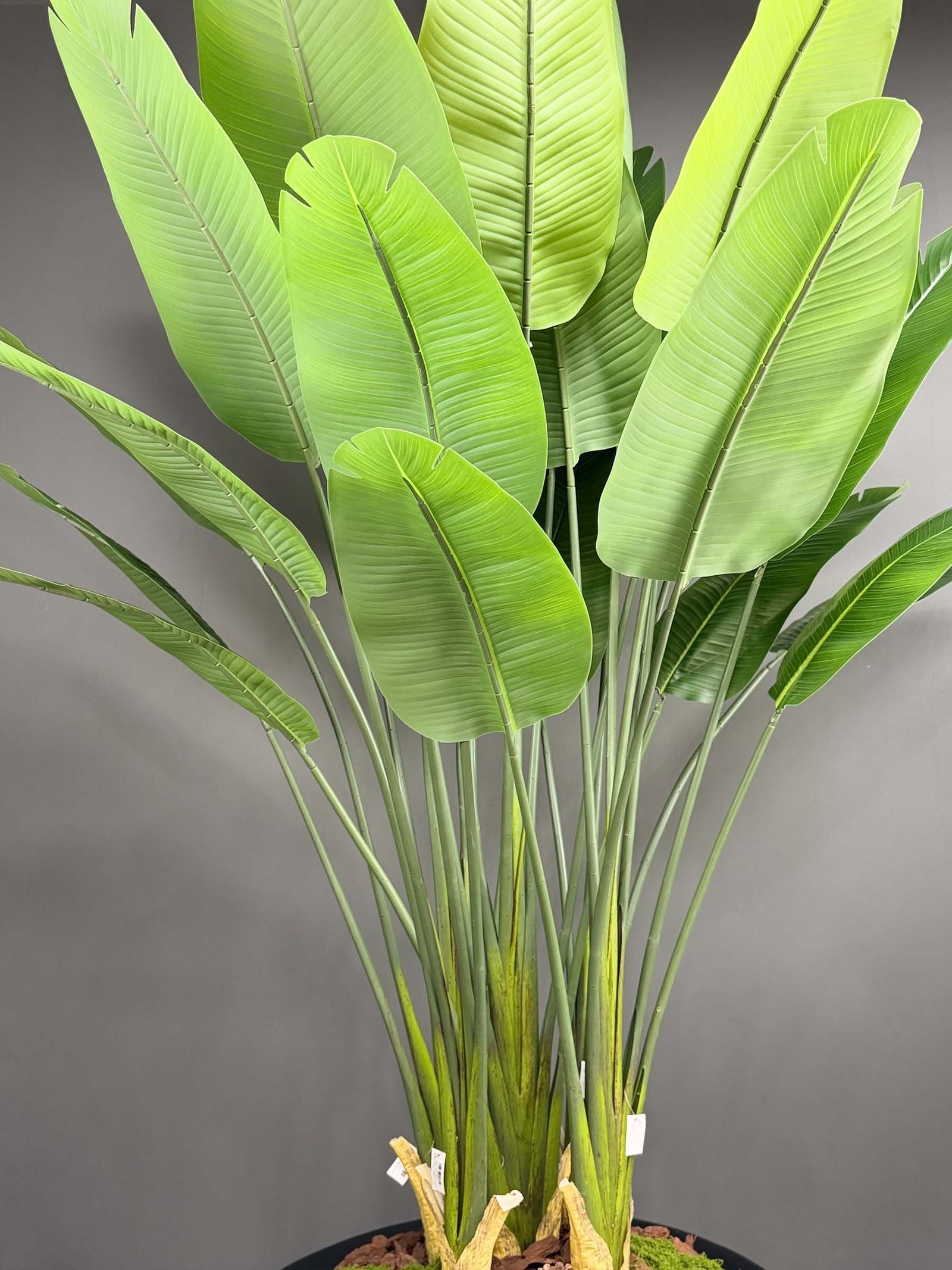 vx-9993(1) Artificial Banana Leaf Plant on Honeycomb Vessel