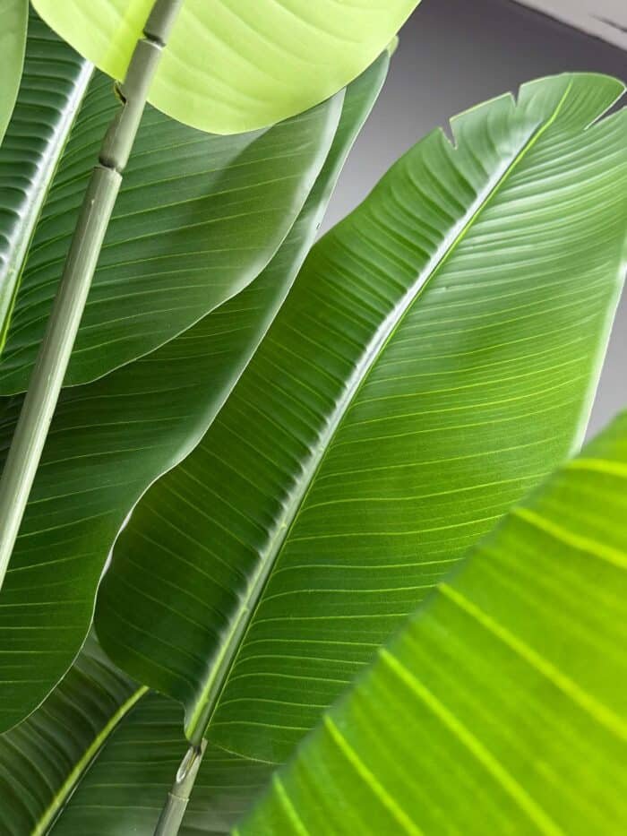 Artificial Banana Leaf Plants on Honeycomb Vessel