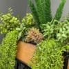 vx-9995(2) Artificial Mixed Greenery Oak & Iron Planter