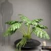 Artificial Monstera on Honeycomb Vessel