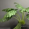 Artificial Monstera on Honeycomb Vessel