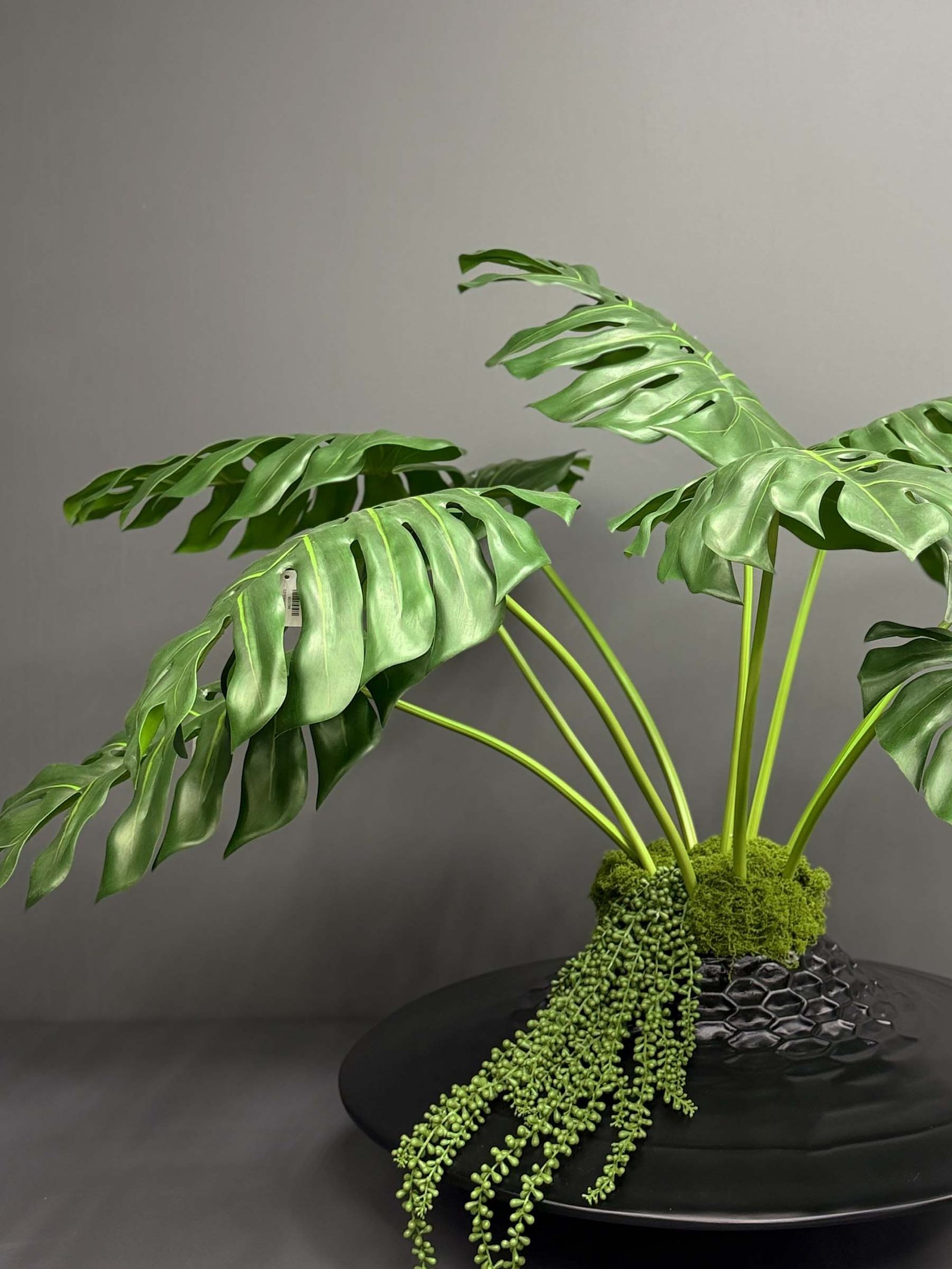 Artificial Monstera on Honeycomb Vessel