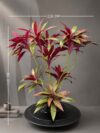 Artificial Cordyline on Honeycomb Vessel