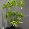 Artificial Dracaena on Honeycomb Vessel