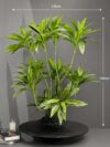 Artificial Dracaena on Honeycomb Vessel