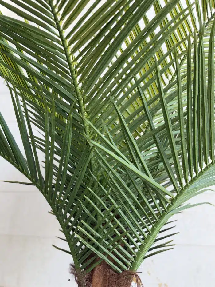280 CM Artificial Coco Palm Tree – 88-3-280