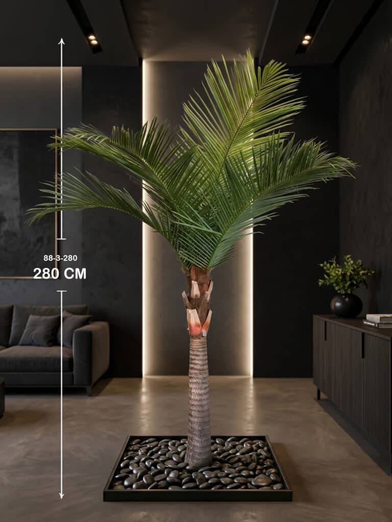 COCO PALM TREE