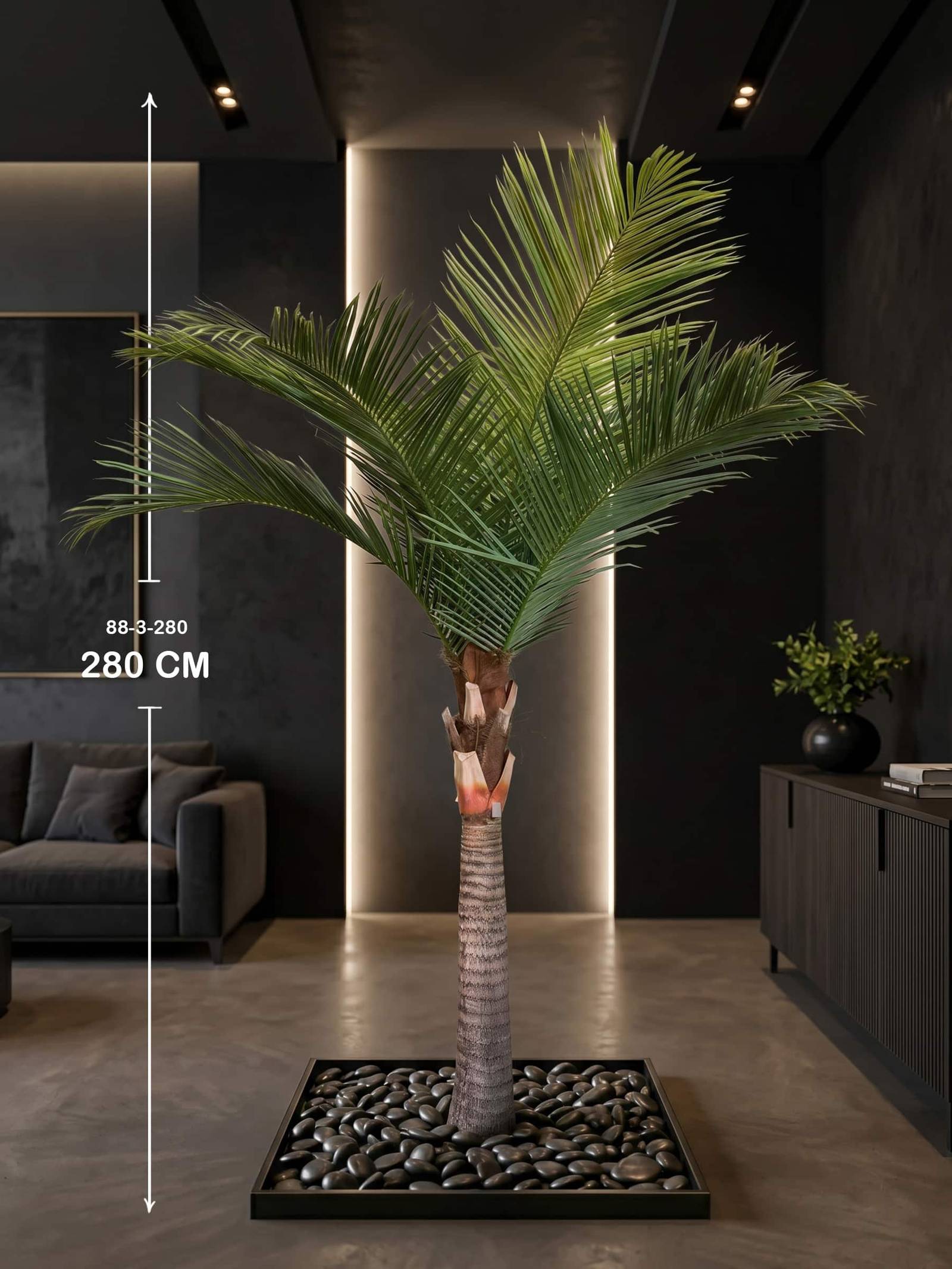 COCO PALM TREE