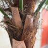 88-4-280-1 280 CM Premium Artificial Coco Palm Tree