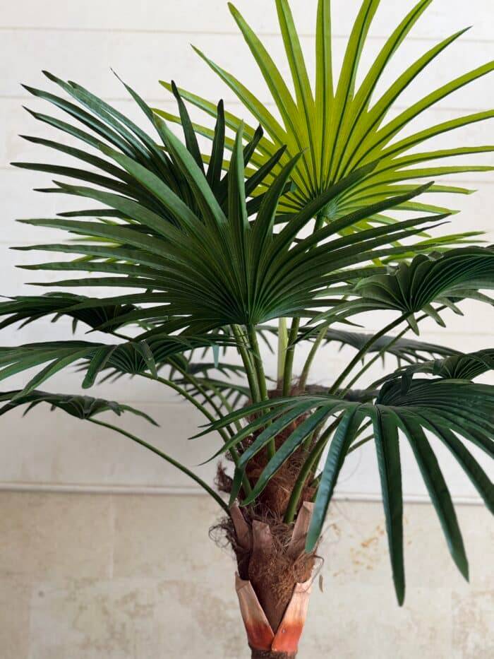 280 CM Artificial Coco Palm Tree – 88-4-280
