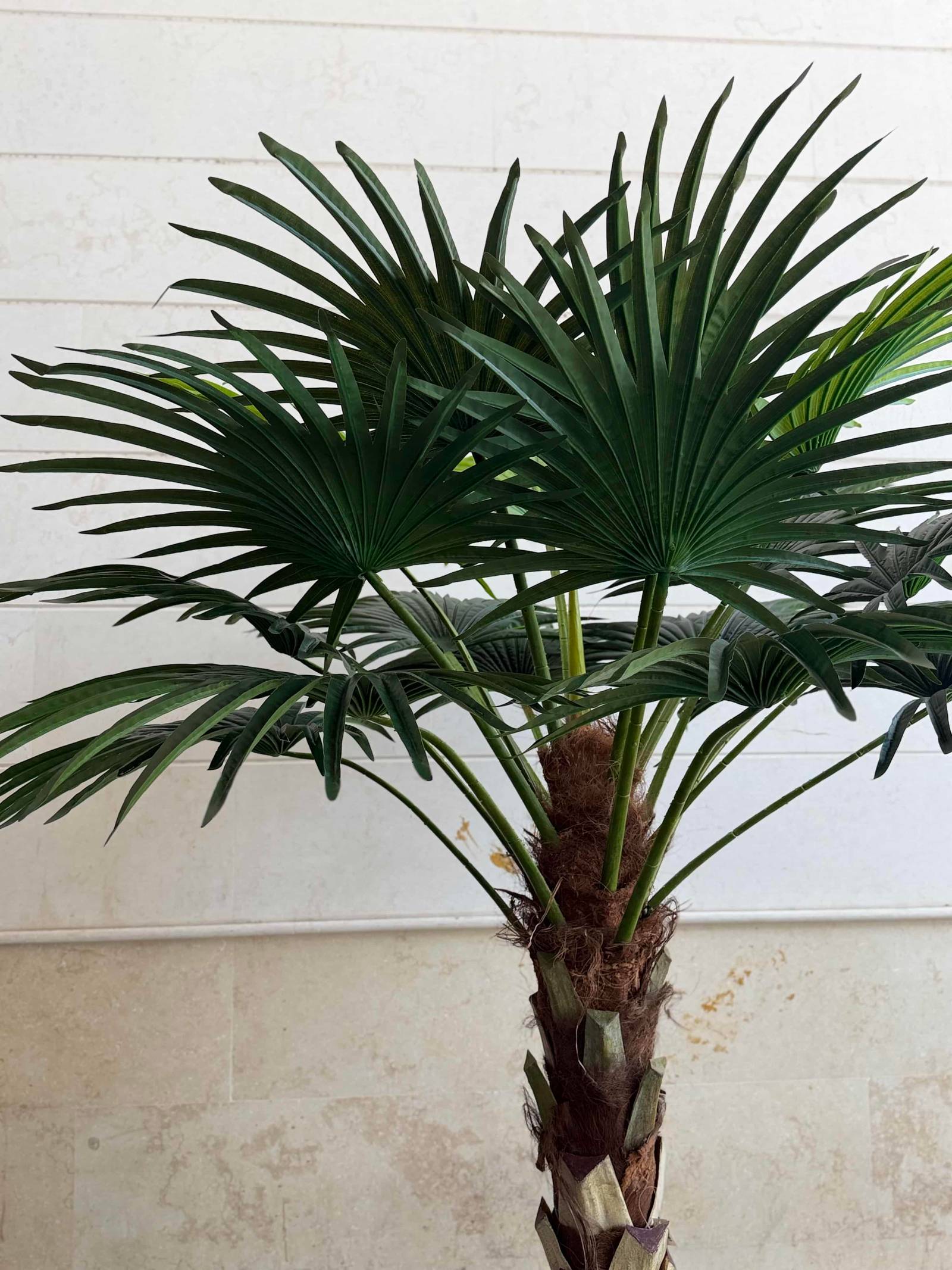 88-5-280-1 280 CM Artificial Coco Palm Tree