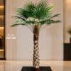 88-5-280 280 CM Artificial Coco Palm Tree
