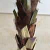 88-5-280-2 280 CM Artificial Coco Palm Tree