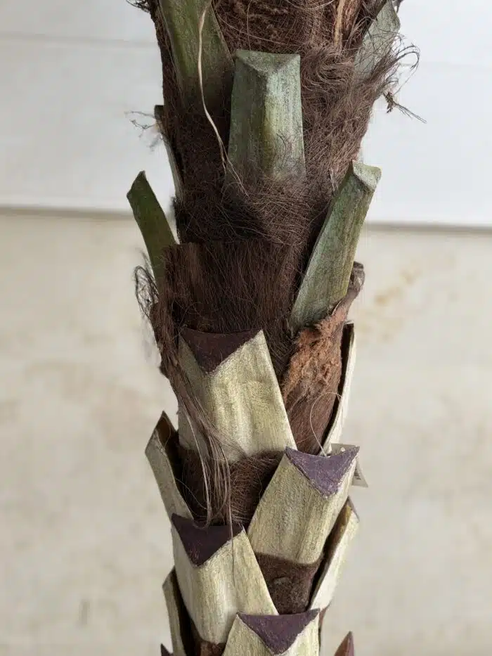 280 CM Artificial Coco Palm Tree – 88-5-280