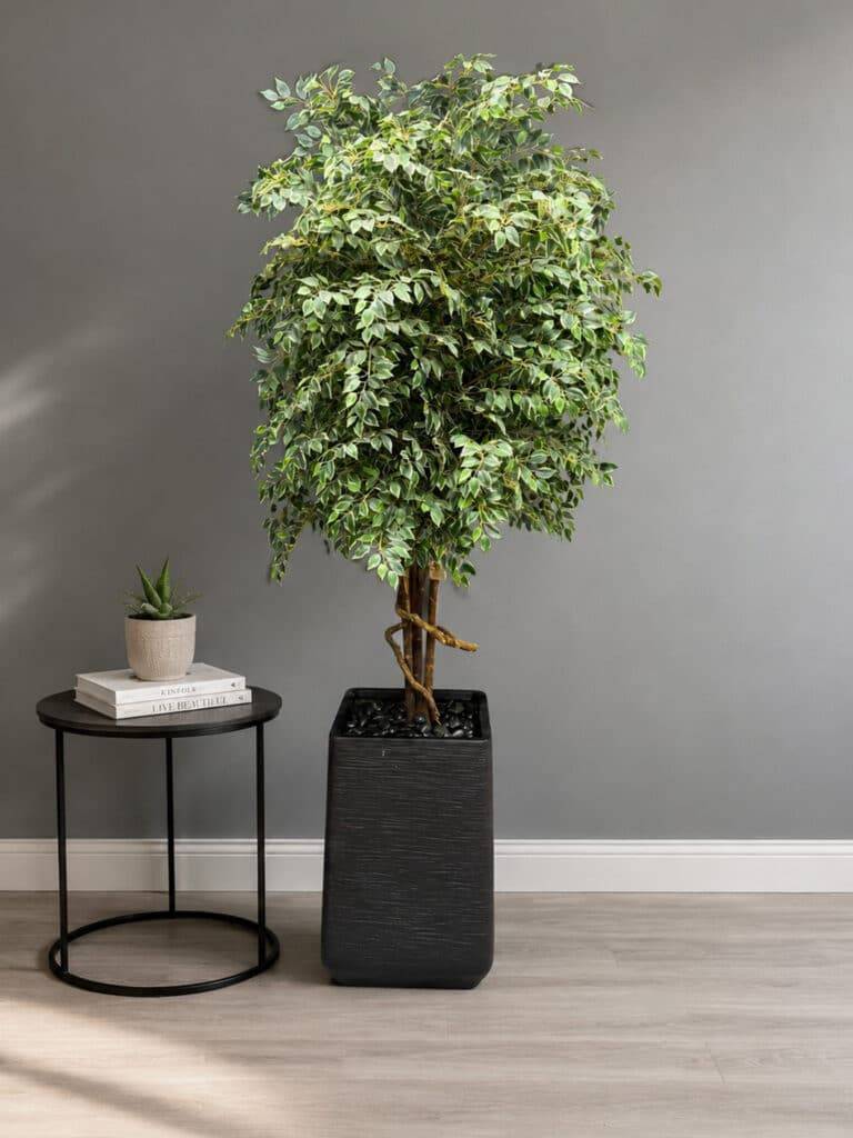 Artificial Ficus Tree 230 CM – 9842