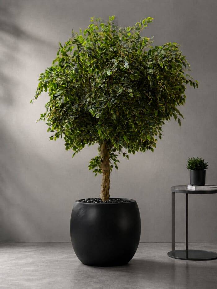 Artificial Ficus Tree 210 CM – 9892-99