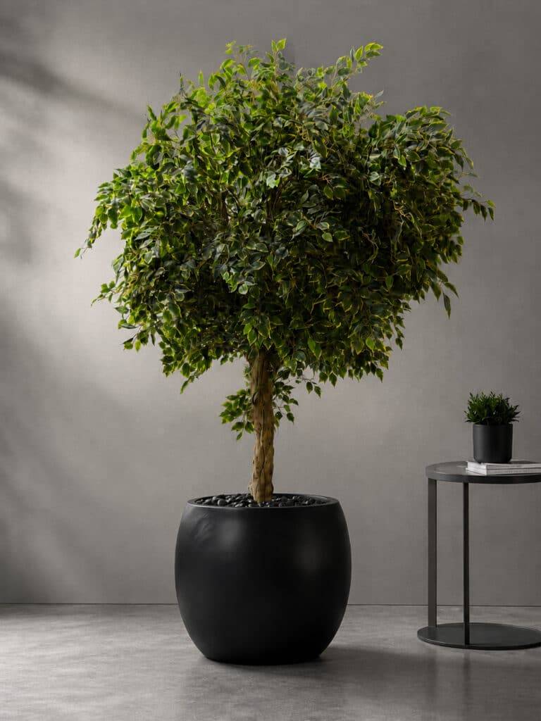 Artificial Ficus Tree 210 CM – 9892-99