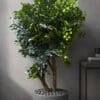 9894-43 Artificial Greenery Tree 250 CM