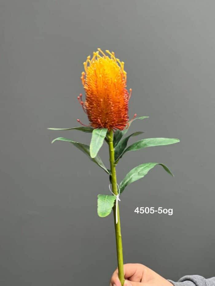Protea Single - 4505-5