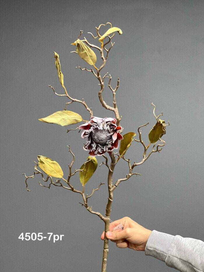 Protea - 4505-7