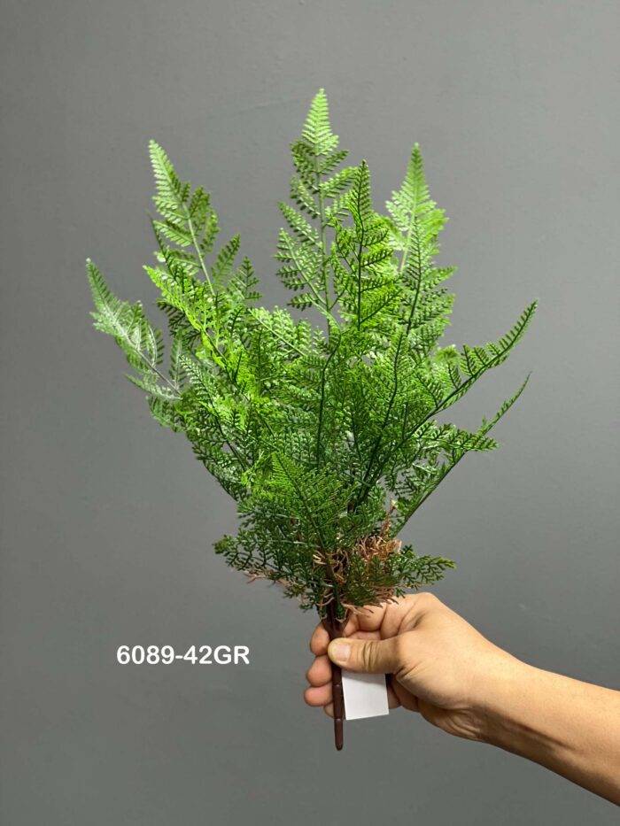 Fern leave - 6089-42