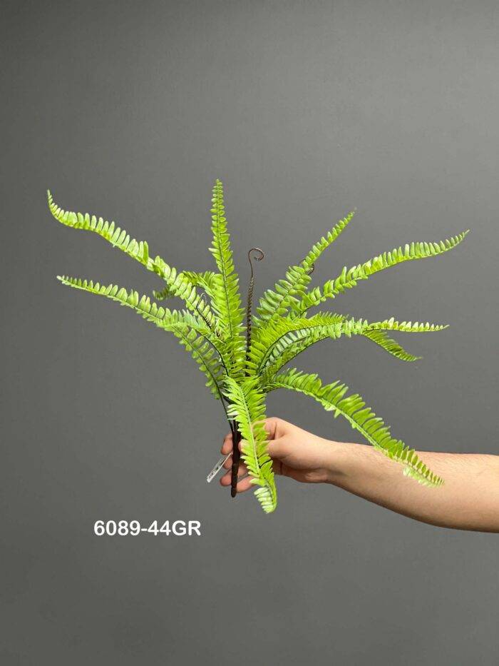 Fern leave - 6089-44