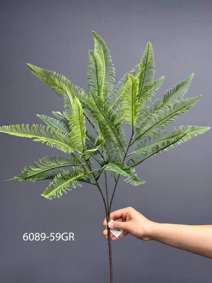 Fern - MA6089-59GR