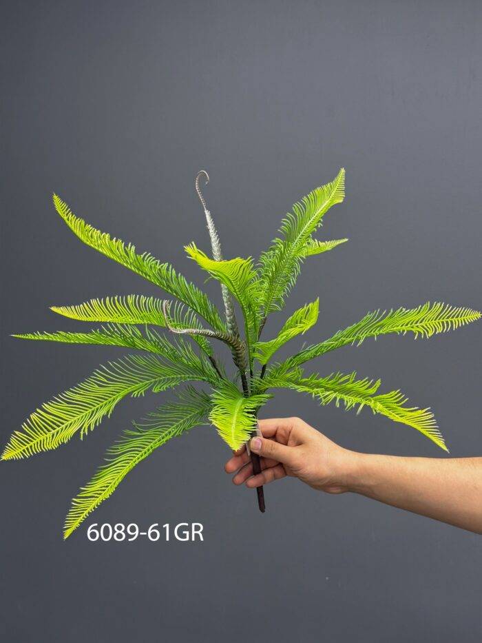Fern - MA6089-61GR