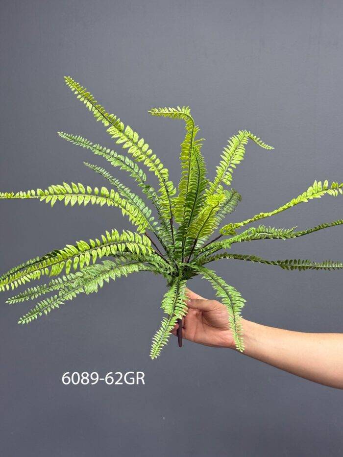 Fern - MA6089-62GR
