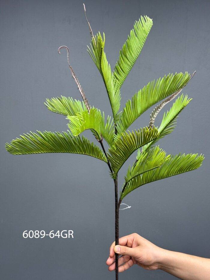 Fern - MA6089-64GR
