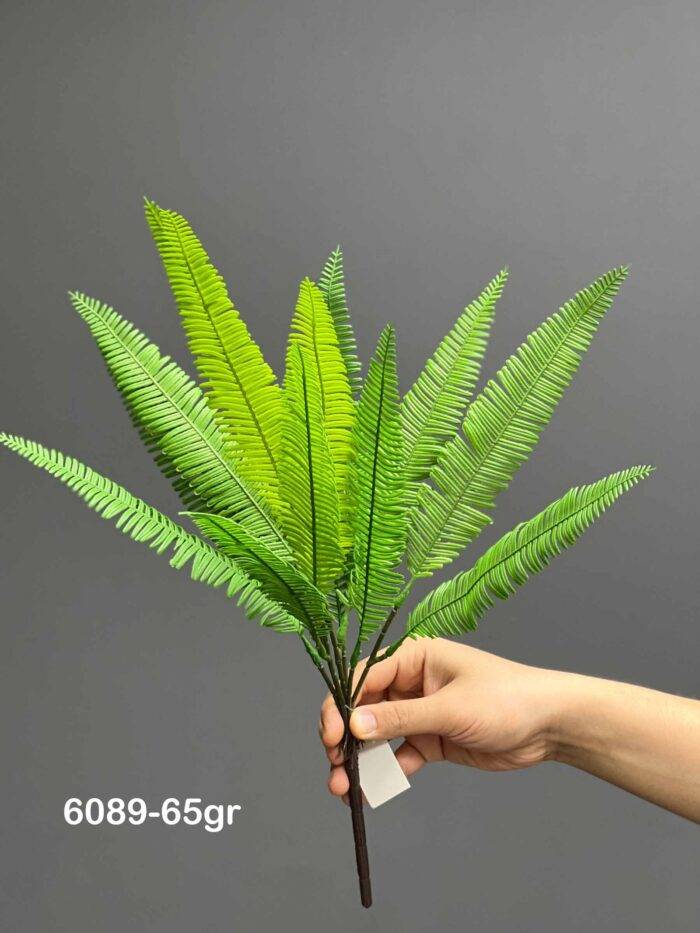Fern - 6089-65